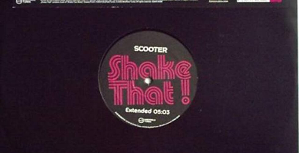 Shake Vinyl